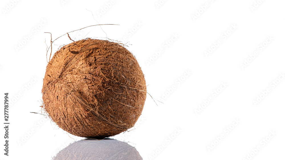 Hairy coconut on white background with reflection Hairy coconut on white background with reflection