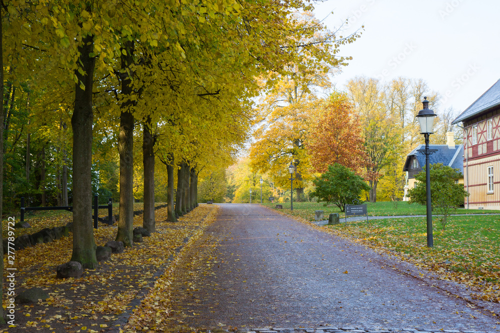 Naklejka premium road through an autumn forest in Copenhagen