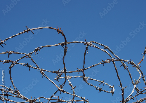 coiled twisted sharp barbed wire against a bight blue sky