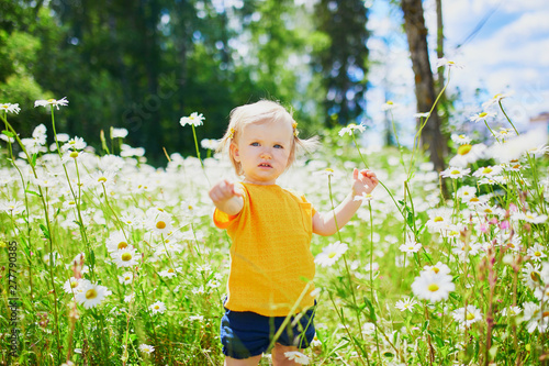 Adorable baby girl amidst green grass and beauitiful daisies photo