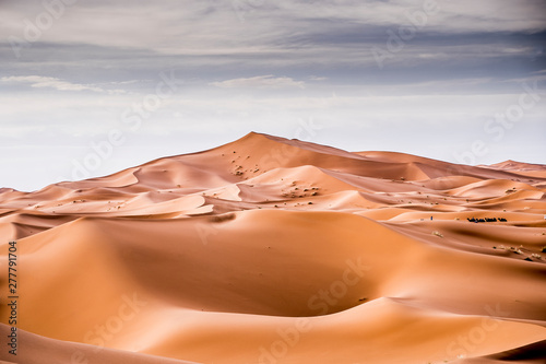 Landscape of desert with sand hills in Marrakesh and camels resting in the distance, Morocco