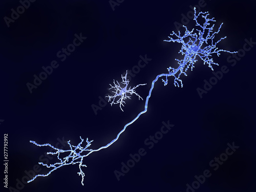 Microglia cell and pyramidal neuron