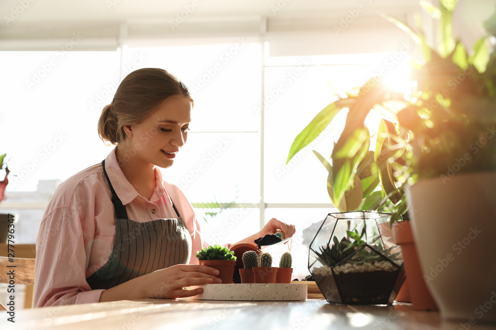 Young beautiful woman taking care of home plants at wooden table indoors Young beautiful woman taking care of home plants at wooden table indoors