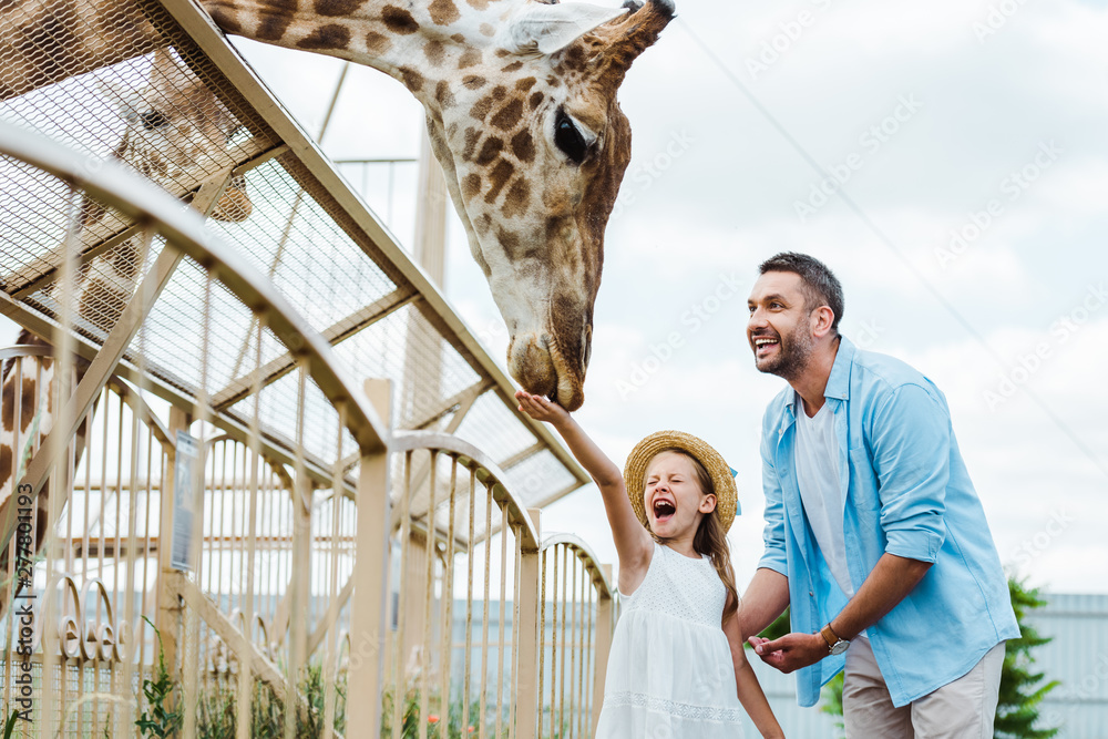 Selective focus of cheerful man and kid with closed eyes feeding giraffe in zoo - obrazy, fototapety, plakaty 