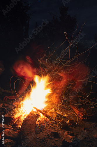 Magic wood fire close up in camp