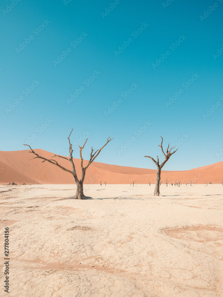 Namib Desert