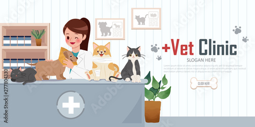 vet clinic concept