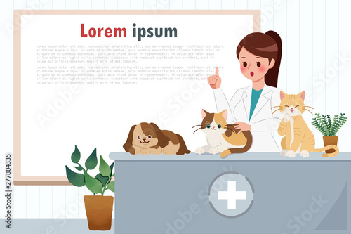 vet clinic concept