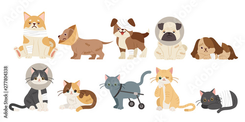 injured cartoon dogs and cats