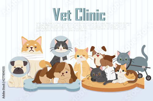 injured cartoon dogs and cats