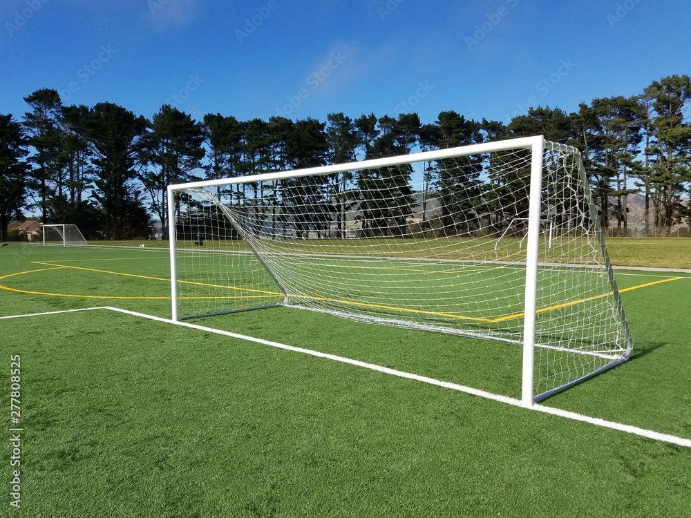 Fototapeta premium Soccer field