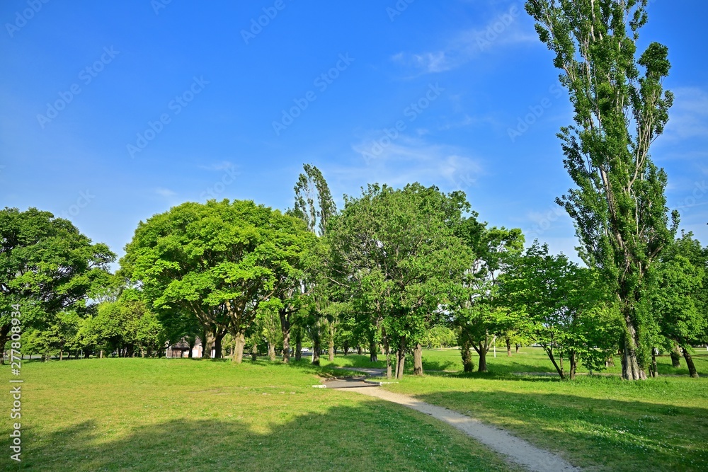 新緑に包まれた公園の情景
