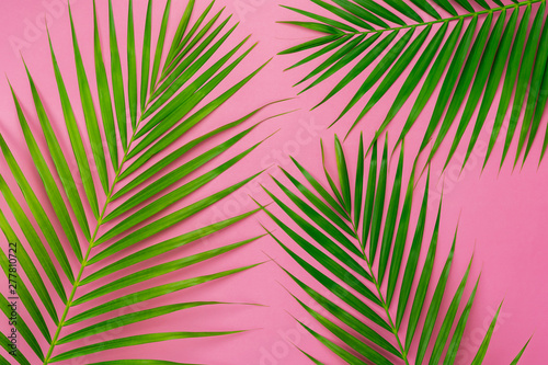 Table top view aerial image of summer season holiday background concept.Flat lay coconut or palm green leaf on modern rustic pink paper backdrop.Free space for creative design mock up text for content