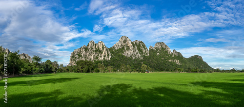 beautiful panoramic mountain on blue sky background , rice fields Foreground , Nakhon Sawan province , North of thailand - panorama landscape Thailand