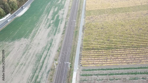 View of drone flying over rural grapes  in Switzerland.