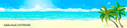 Tropics sand beach ocean. Panorama of a tropical sandy beach. Ocean coast. Landscape of the tropical coast. Sea shore landscape. Ocean, sky, sun and sand