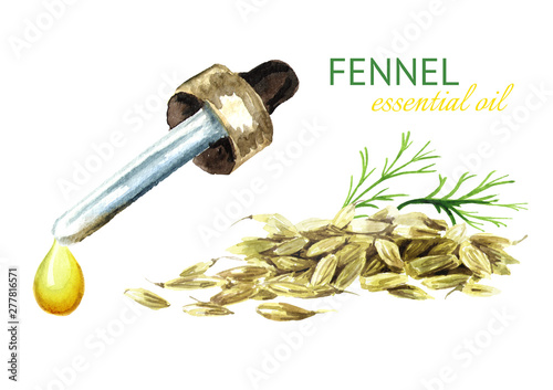 Fennel oil and dried fennel seeds. Watercolor hand drawn illustration isolated on white background