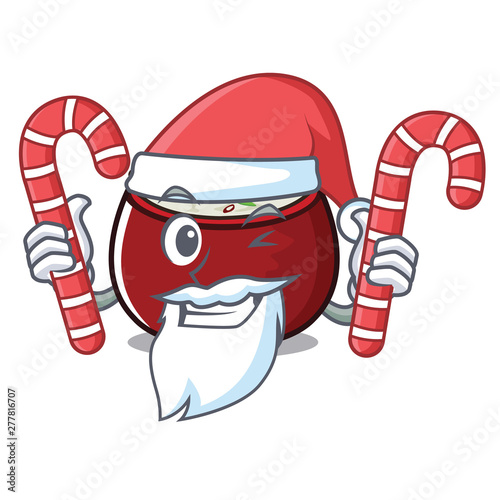 Santa with candy curd rice placed on character plate