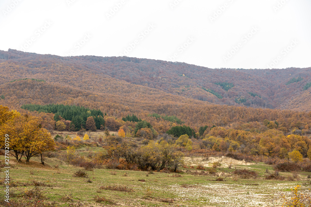 Fototapeta premium Hill and trees in autumn