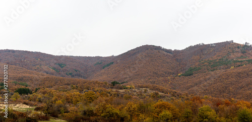 Hill and trees in autumn