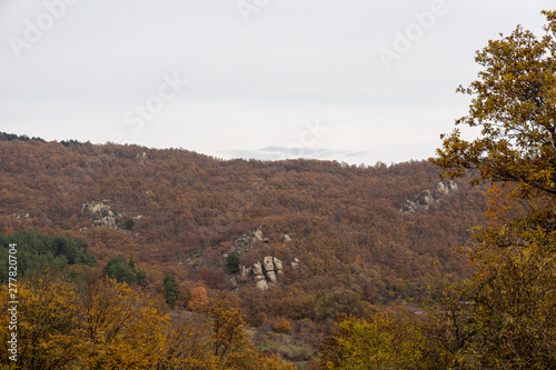 Hill and trees in autumn