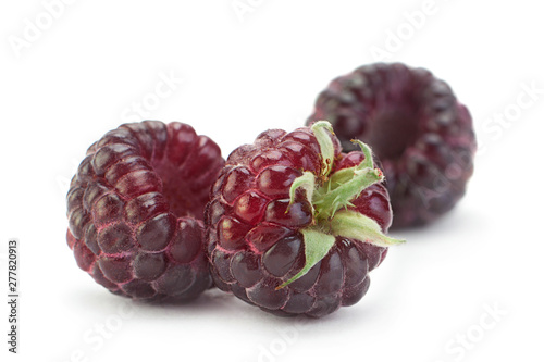 Obraz na plátně Cumberland fruit on white