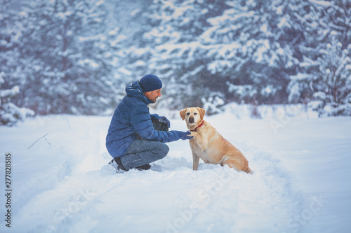 A human and dog are best friends. The man with the dog sitting in a snowy pine wood in winter. Trained Labrador retriever dog extends the paw to the man