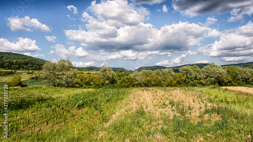 Fields and meadows for background © Bojan
