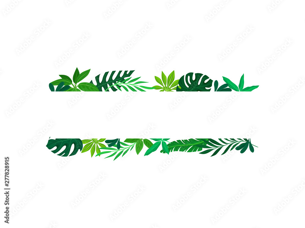 Two straight leaves. Vector illustration on white background.