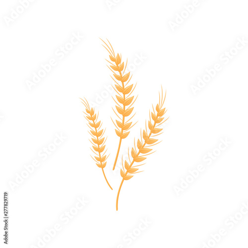 Three spikelets. Design for the production of flour and bread. Vector illustration on white background.