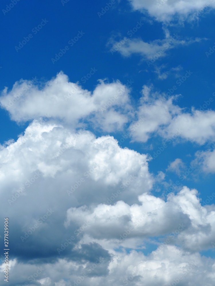 Fototapeta premium 青空に浮かぶ白い雲