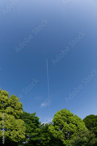 飛行機雲