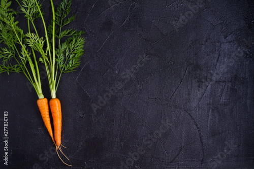 Carrots and beetroots  on dark background. Summer vegetable background. Layout  flat lay  copy space