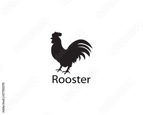 Rooster logo template vector design