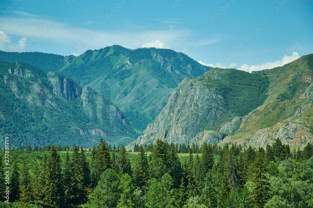 Mountain Altai.