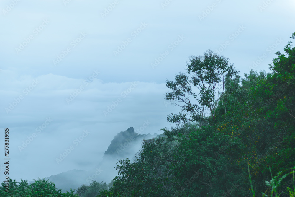 Viewpoint sea of mist, Beautiful mountain view with fog, sunrise scene, Doi Samer Dao