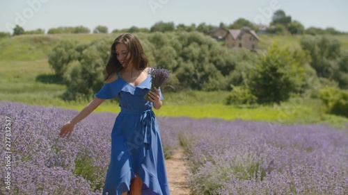 Charming carefree young female in elegant blue dress smelling fresh fragrant lavender blosooms while walking through lavender field. Pretty cheerful woman enjoying unity with nature in countryside. photo