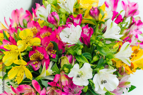 Wallpaper Mural close up  Alstroemeria flowers bouquet blurred background Torontodigital.ca