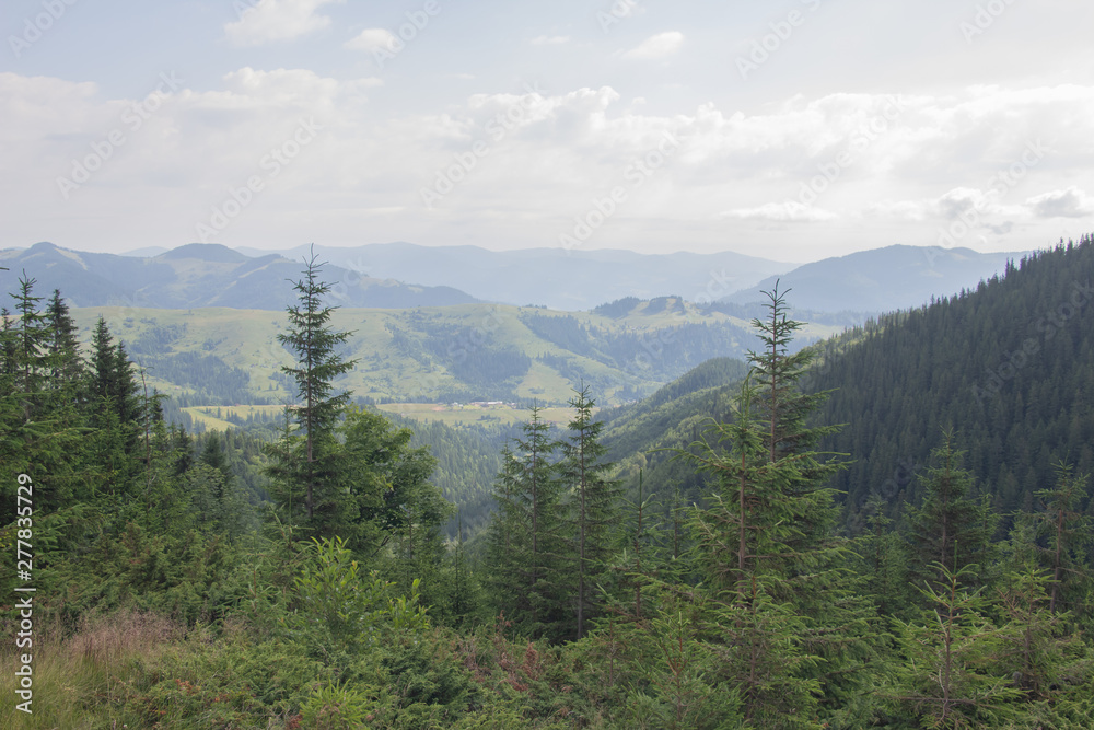 Trekking in the Carpathians, Hike to the border between Ukraine and Romania from Pop Ivan Marmarassky to Pop Ivan Chernogorsky. Trekking in the Carpathians, Hike to the border between Ukraine and Romania from Pop Ivan Marmarassky to Pop Ivan Chernogorsky.