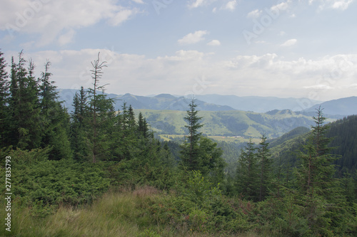 Trekking in the Carpathians, Hike to the border between Ukraine and Romania from Pop Ivan Marmarassky to Pop Ivan Chernogorsky.