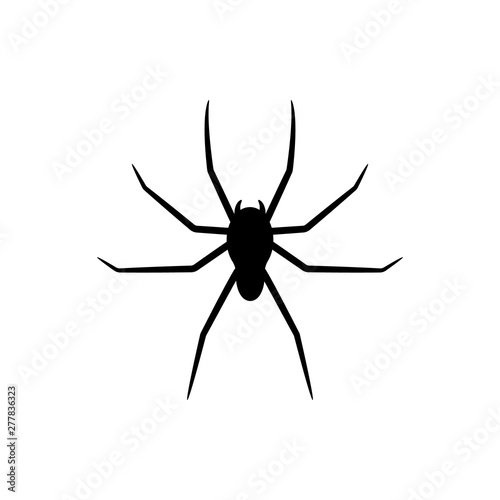 Black silhouette of spider isolated on white background. Halloween decorative element. Vector illustration for any design.