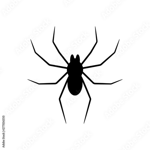 Black silhouette of spider isolated on white background. Halloween decorative element. Vector illustration for any design.