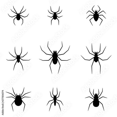 Set of black silhouettes of spiders isolated on white background. Halloween decorative elements. Vector illustration for any design. © Alody