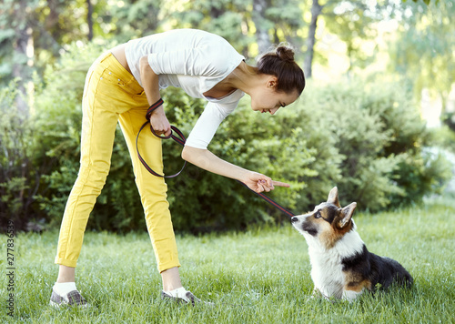 Tableau sur toile Welsh Corgi dog being punished for bad behavior by owner with finger pointing at him
