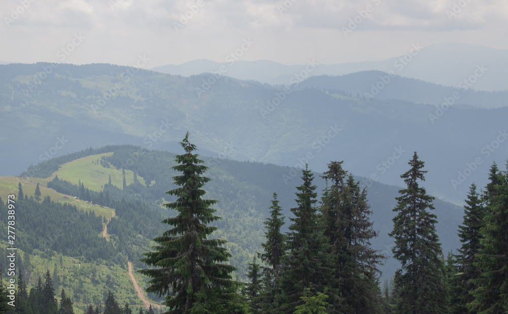 Fototapeta premium Trekking in the Carpathians, Hike to the border between Ukraine and Romania from Pop Ivan Marmarassky to Pop Ivan Chernogorsky.