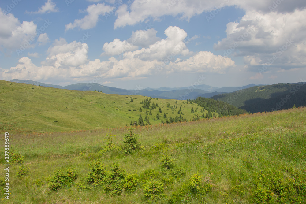 Trekking in the Carpathians, Hike to the border between Ukraine and Romania from Pop Ivan Marmarassky to Pop Ivan Chernogorsky. Trekking in the Carpathians, Hike to the border between Ukraine and Romania from Pop Ivan Marmarassky to Pop Ivan Chernogorsky.