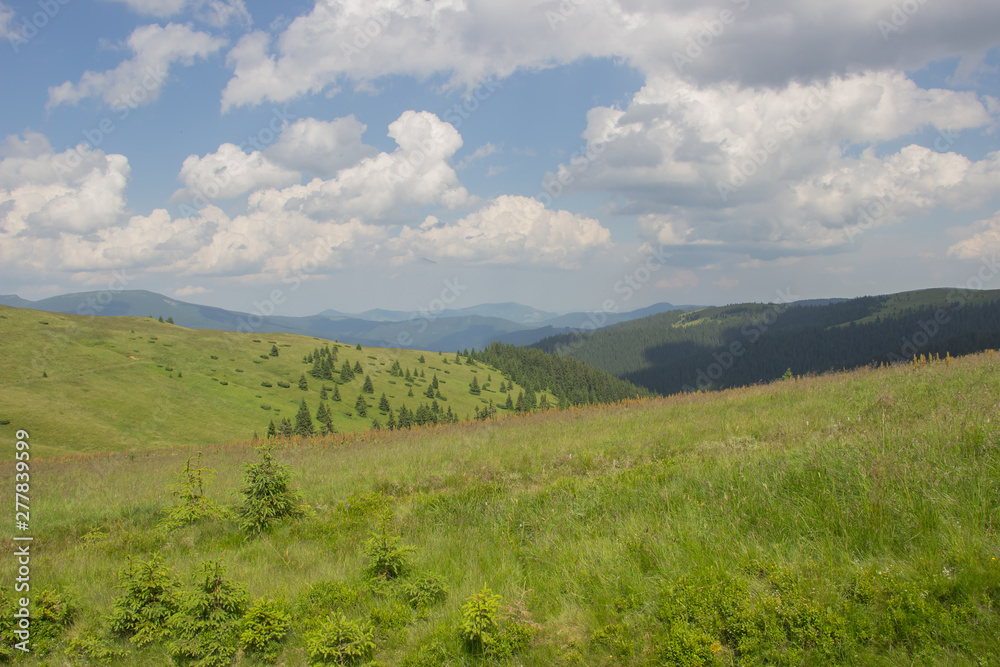 Trekking in the Carpathians, Hike to the border between Ukraine and Romania from Pop Ivan Marmarassky to Pop Ivan Chernogorsky. Trekking in the Carpathians, Hike to the border between Ukraine and Romania from Pop Ivan Marmarassky to Pop Ivan Chernogorsky.