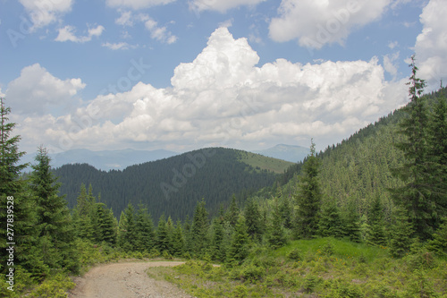 Wallpaper Mural Trekking in the Carpathians, Hike to the border between Ukraine and Romania from Pop Ivan Marmarassky to Pop Ivan Chernogorsky. Torontodigital.ca