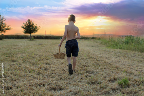 boy in shorts sunset evening goes with a basket in the field, back view