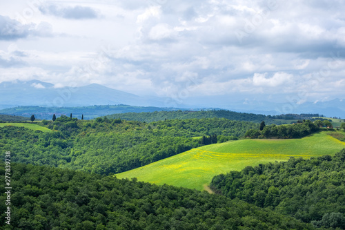Fototapeta Naklejka Na Ścianę i Meble -  Beautiful spring landscape in Tuscany, Italy